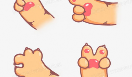 漫画猫爪,探索猫咪的神秘魅力